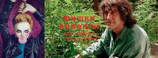герыч Козельск
