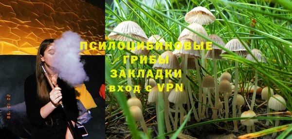 герыч Козельск