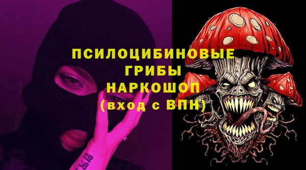 ПСИЛОЦИБИНОВЫЕ ГРИБЫ Кодинск
