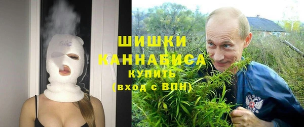 дурь Козловка
