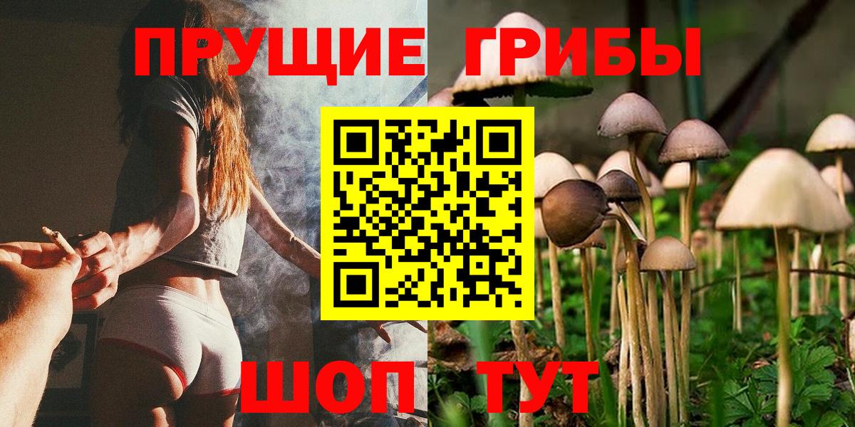 Галлюциногенные грибы MAGIC MUSHROOMS  Вход с VPN  Клинцы 
